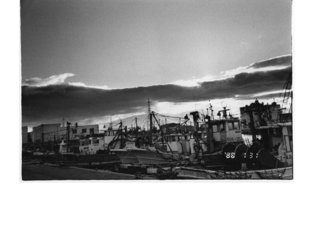 barcos